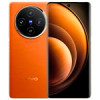 vivo X100