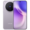 vivo X300